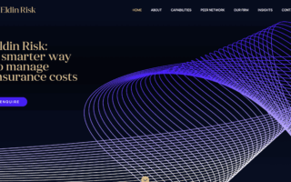 Eldin Risk on Webflow