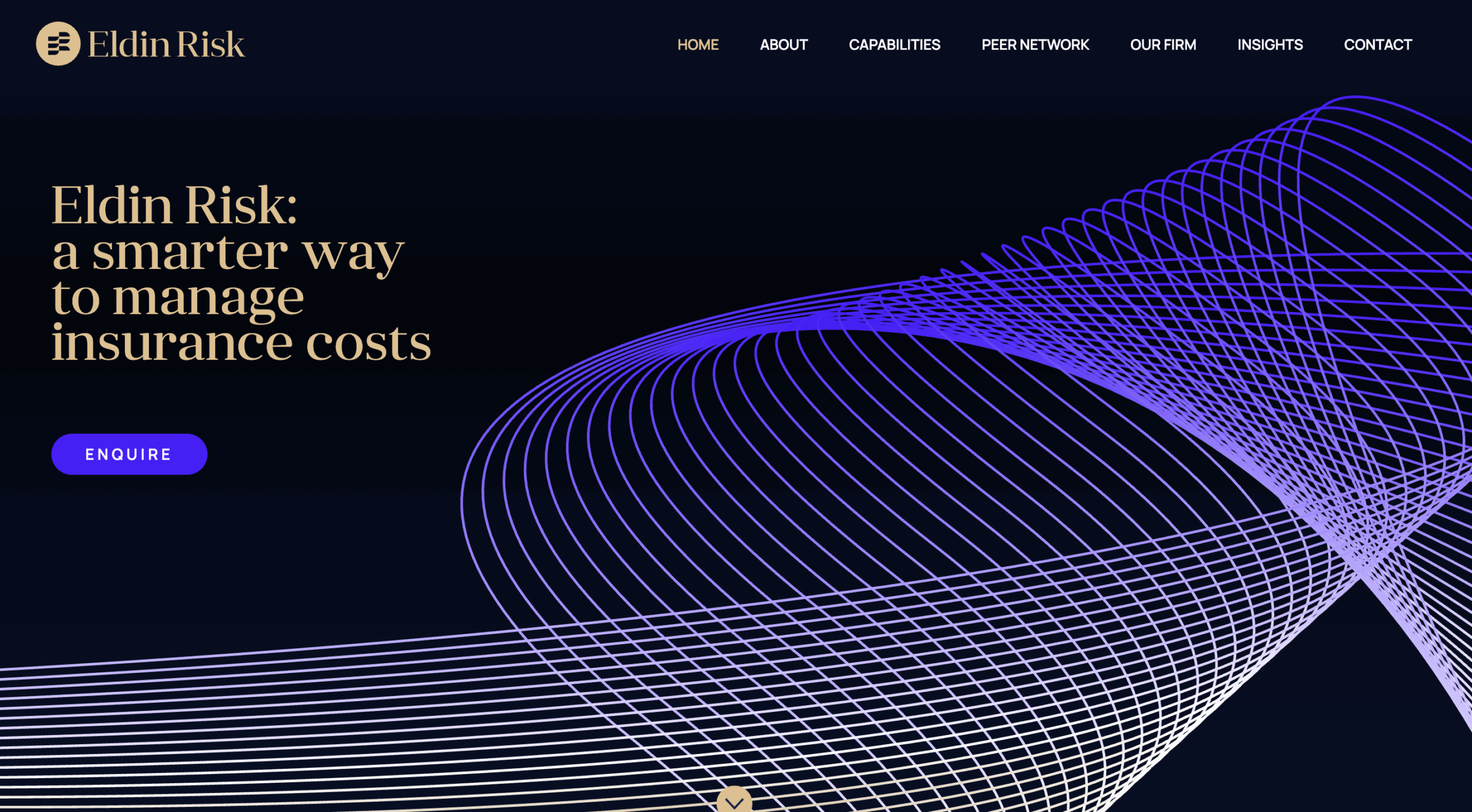 Eldin Risk on Webflow