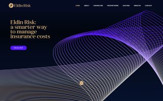 Eldin Risk on Webflow