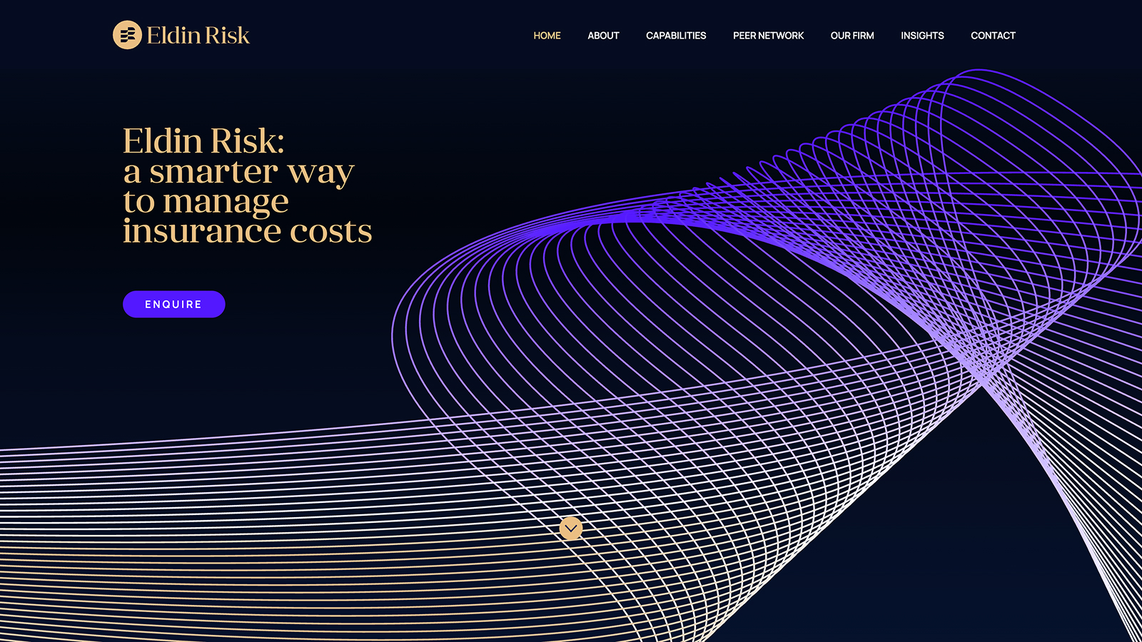 Eldin Risk on Webflow